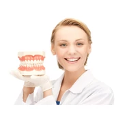 Fogászati oktató modellek