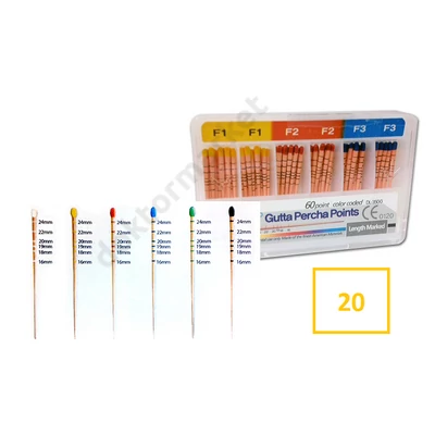Guttapercha csúcsok, , -20