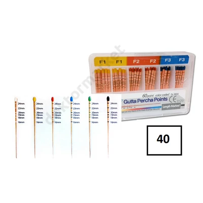 Guttapercha csúcsok,  -40